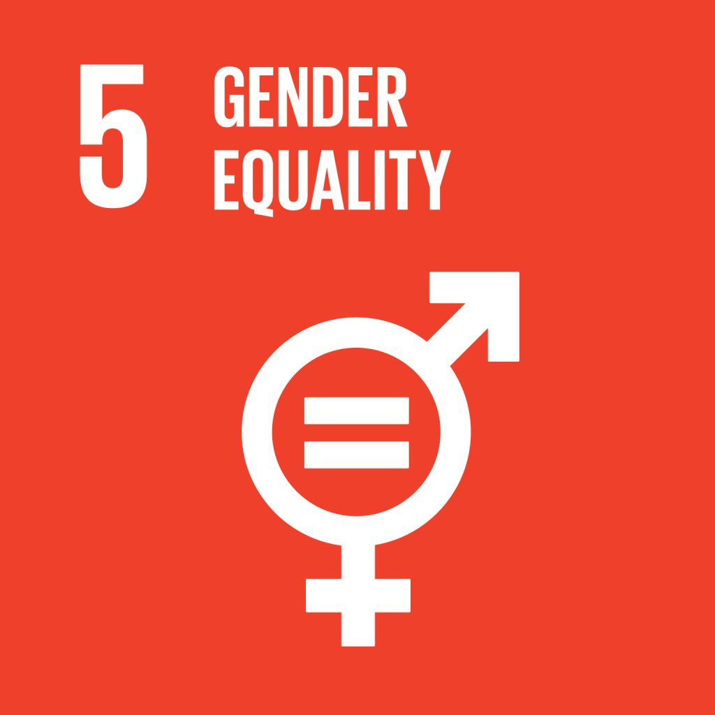 An image of UN Sustainable Development Goal 5